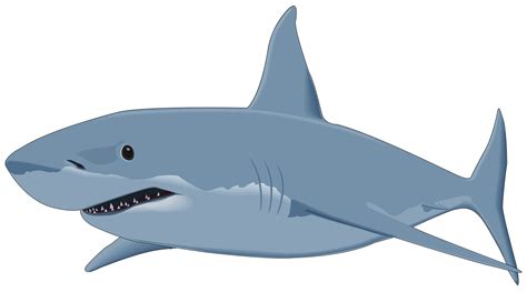 clip art shark